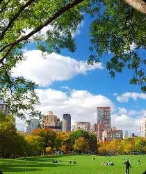 Central Park
