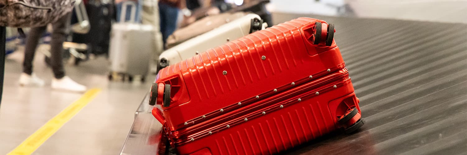 Turkish Airlines Baggage Allowance 