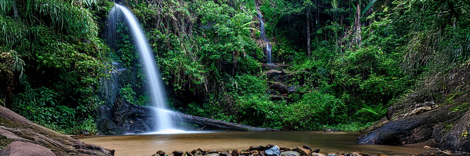 Khao Yai National Park 2026: Your Ultimate Nature Escape