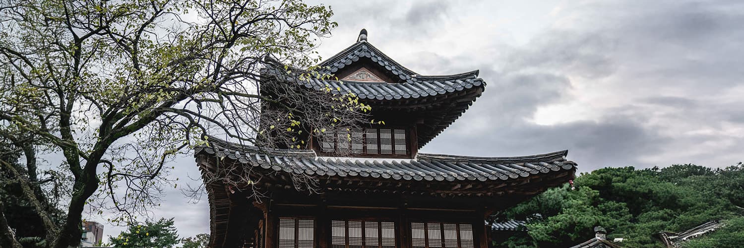 You Must Experience These Things in Seoul, South Korea
