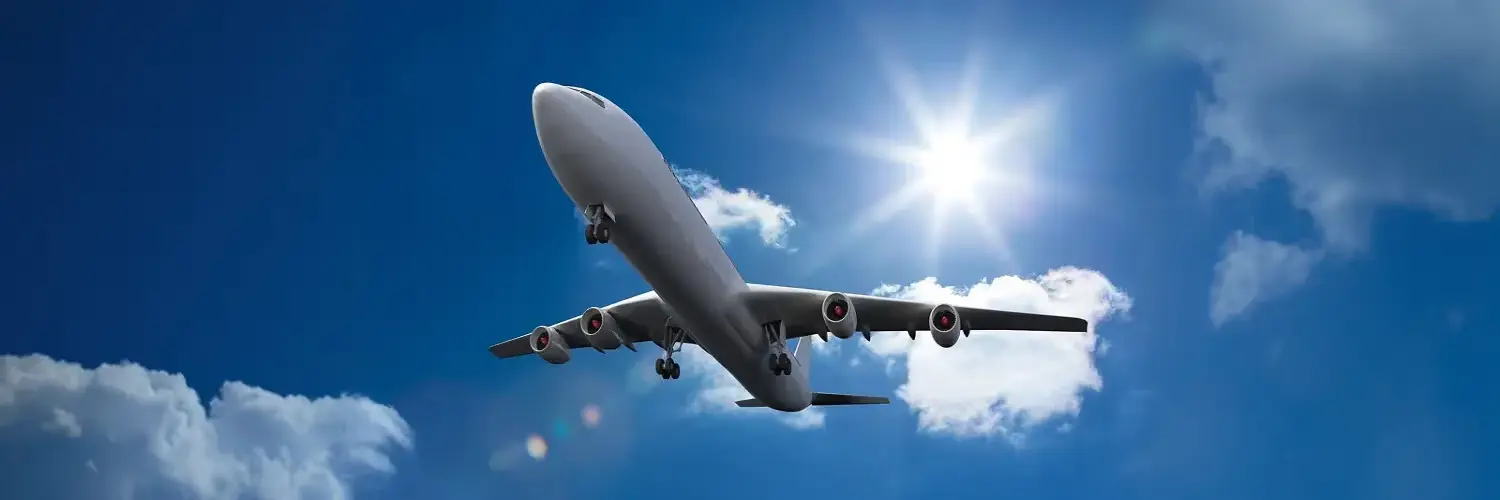 Cambiar Vuelo online