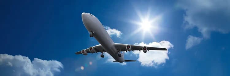Cambiar Vuelo online