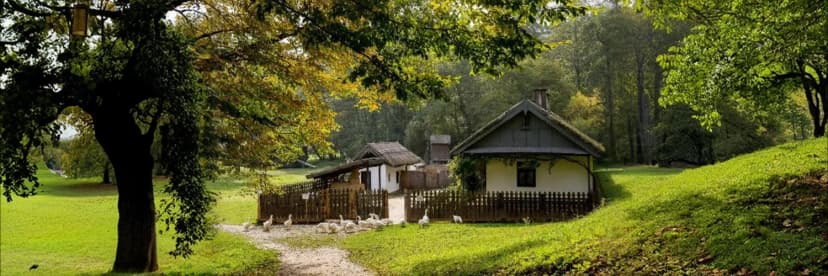 guided visit to the ASTRA Open-Air Museum