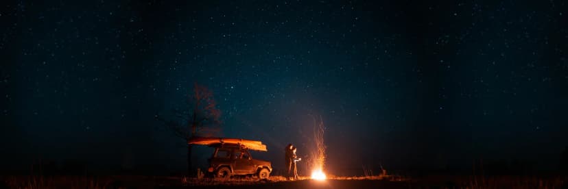 Night Game Drive