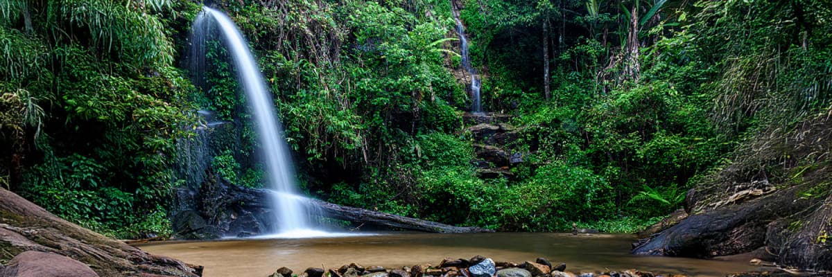 Khao Yai National Park 2026: Your Ultimate Nature Escape