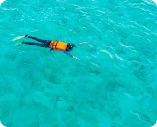 Snorkelling in the Lagoon