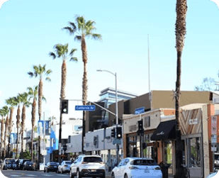 Shopping & Dining