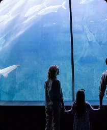 Georgia Aquarium