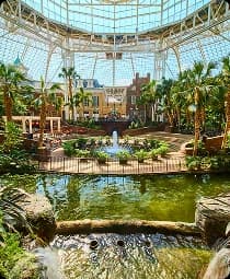 Atlanta Botanical Garden