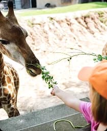 Zoo Atlanta