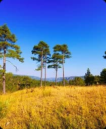 Lone Pine State Park