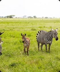 Serengeti National Park