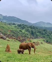 Arusha