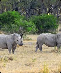 Nyerere National Park