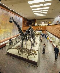 Cincinnati Art Museum